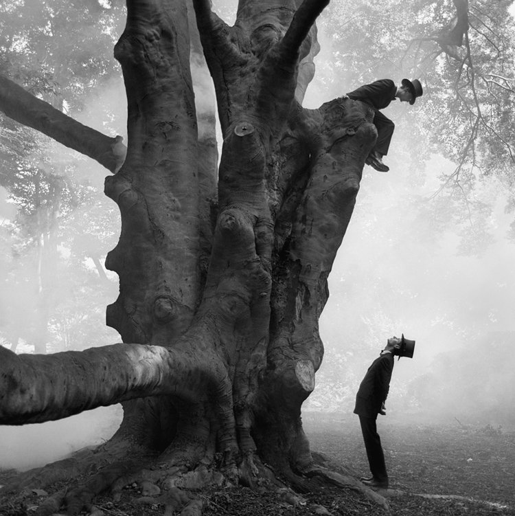 Twins in Tree
