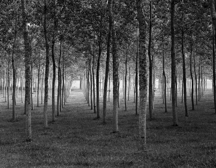 Grove Dordogne, France