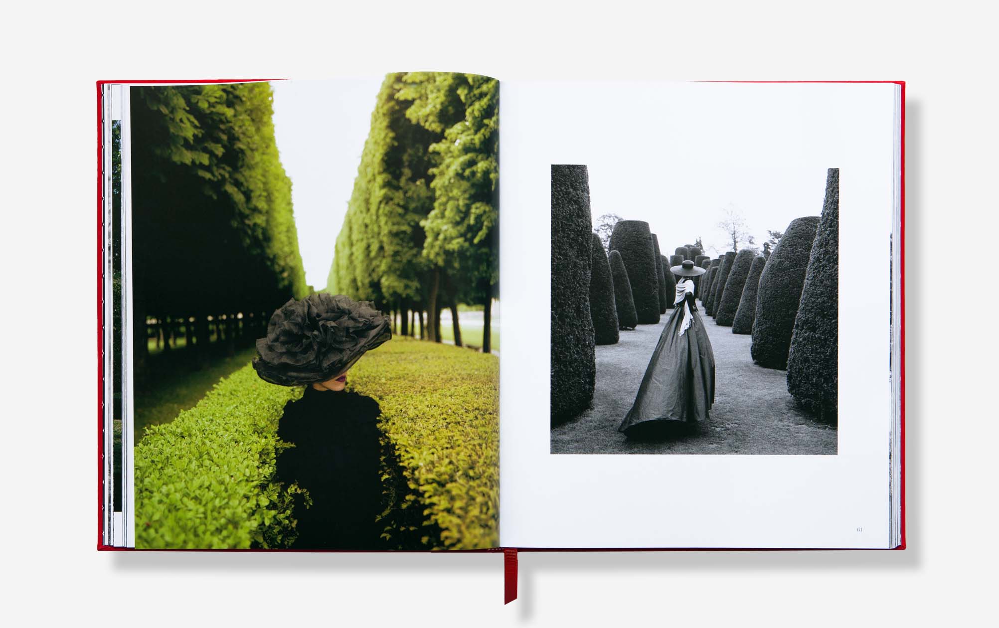 BKS_PHOTO_image_hedges