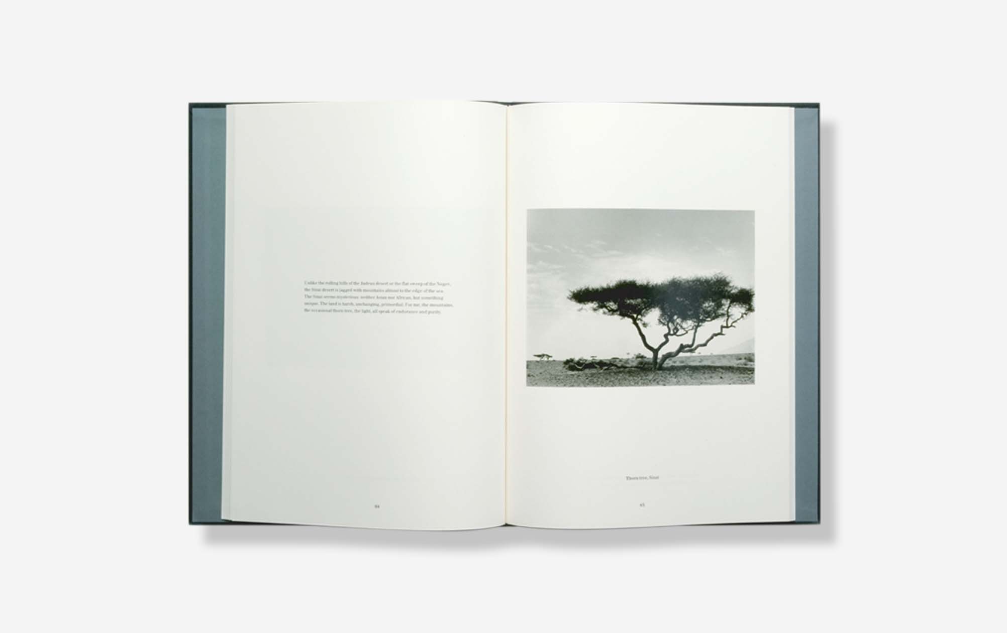 BKS_LIGHT_tree