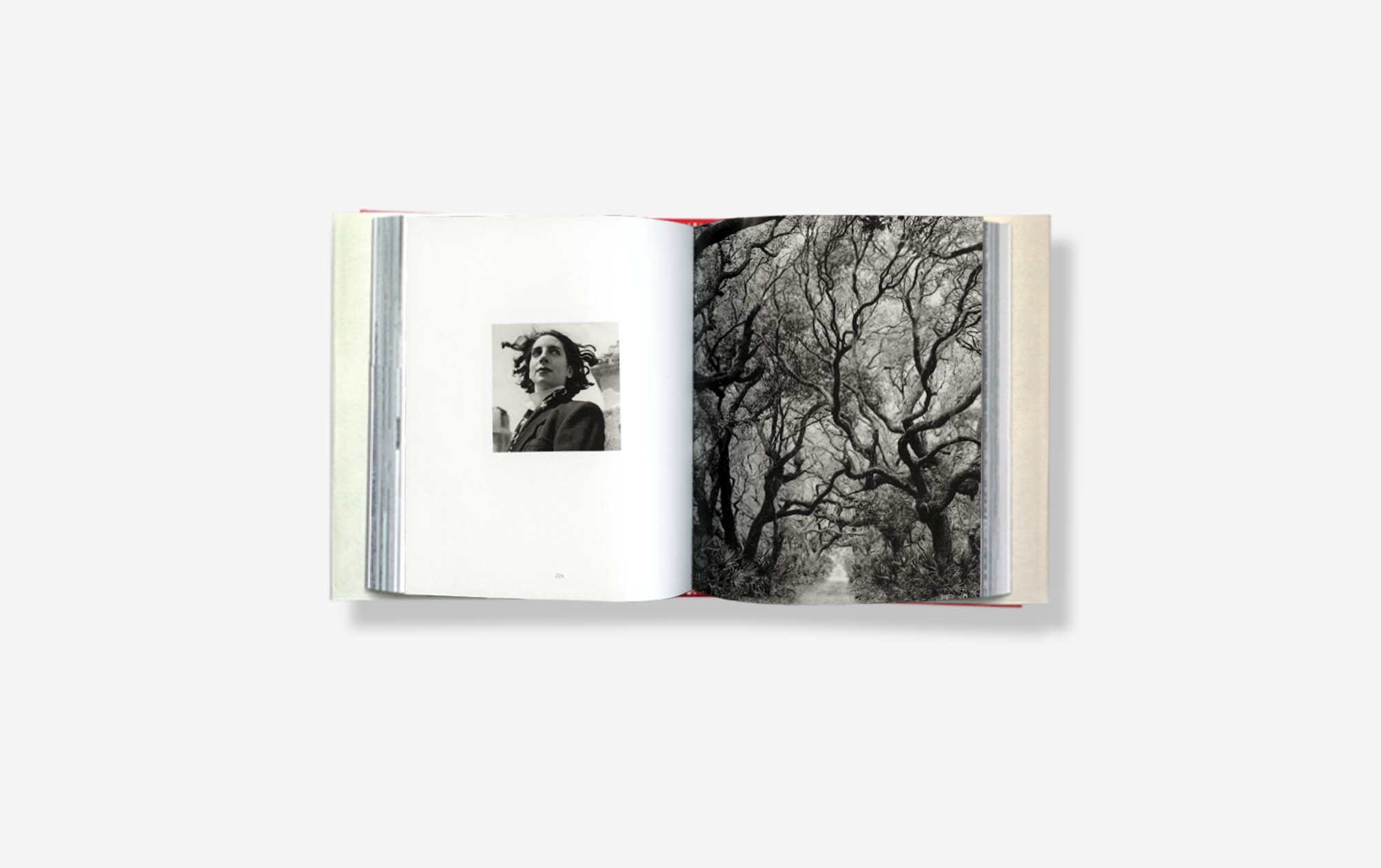 BKS_BOB_tree